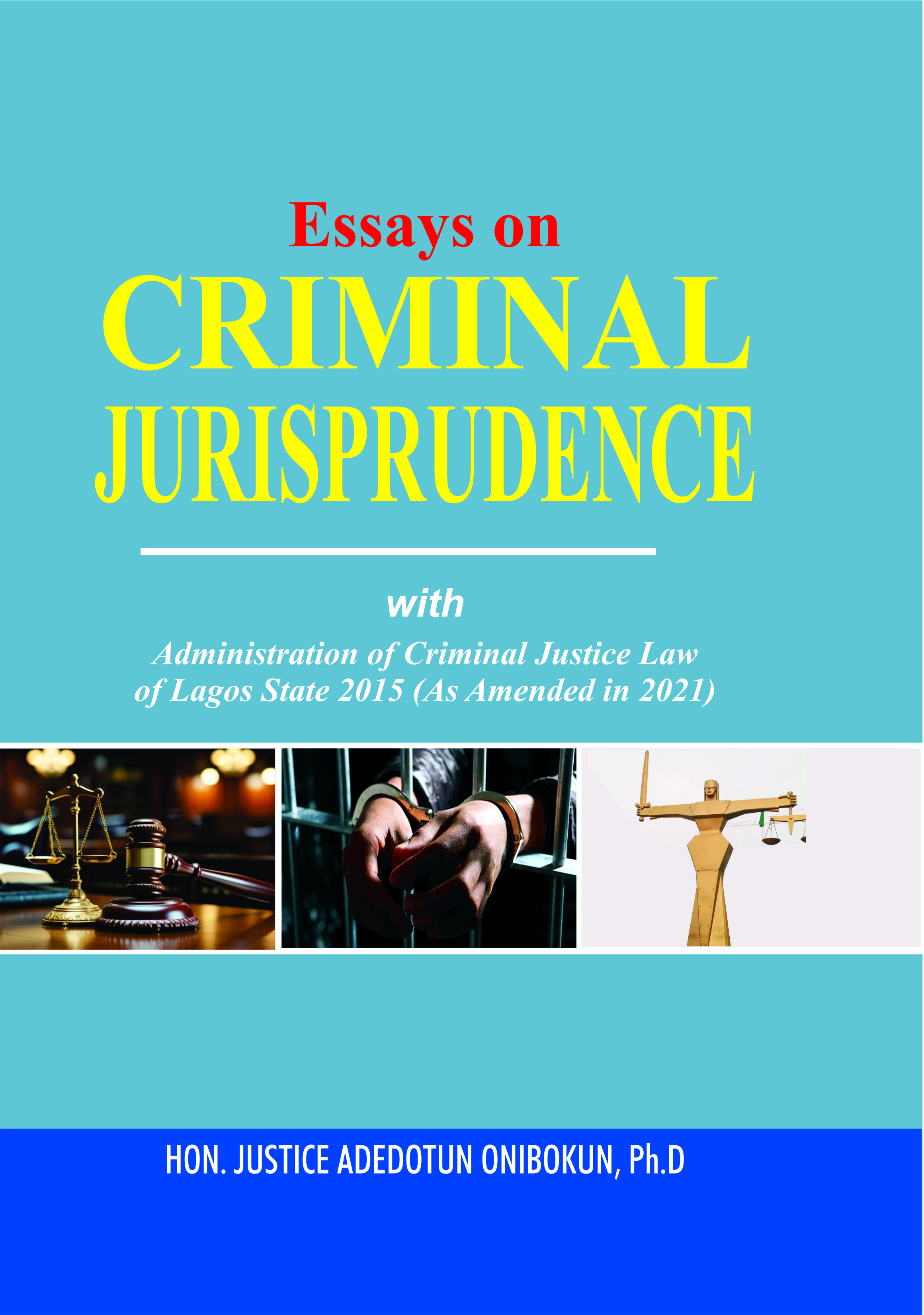 Cover of Essays on Criminal Jurisprudence by Adedokun Onibokun